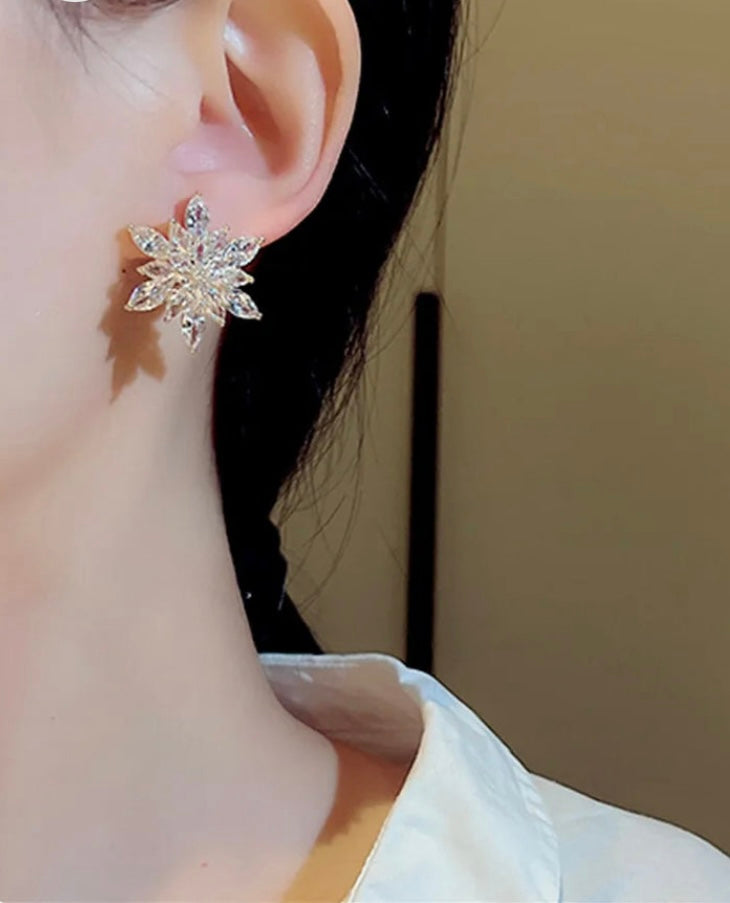 Super Sparkle Zircon Flower Bouquet Luxury Earrings